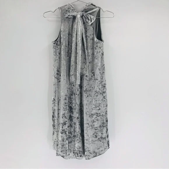 Tyler Boe Crushed Velvet Shift Dress Silver Size XS - Picture 7 of 8